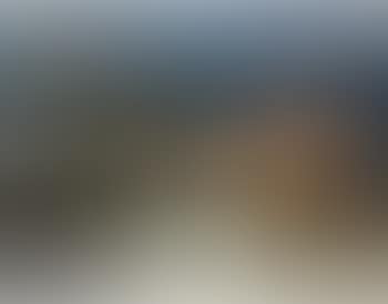[Untitled] ,
1971 (preview)