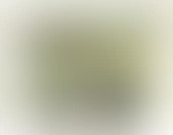 [Untitled] ,
1971 (preview)