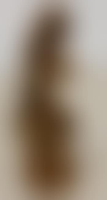 Seated Nude ,
1954 (preview)