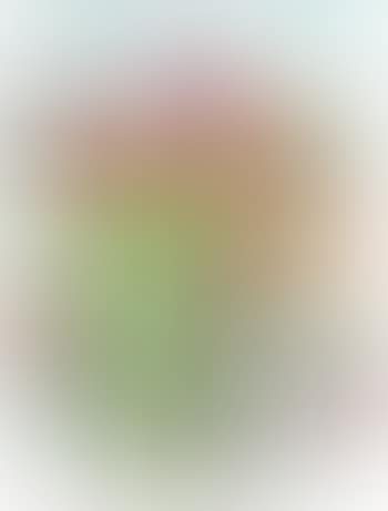 Anemones , (preview)