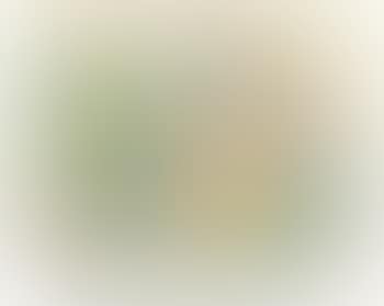 Flower abstract ,
1980 (preview)