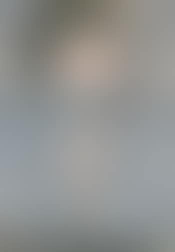 Evening Scene , (preview)