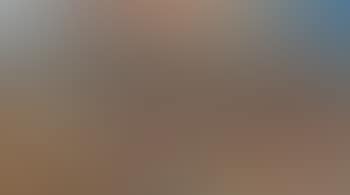 Bush Landscape , (preview)