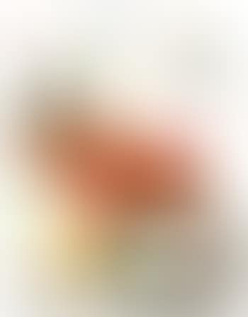 Quelques Fleurs II ,
1964 (preview)
