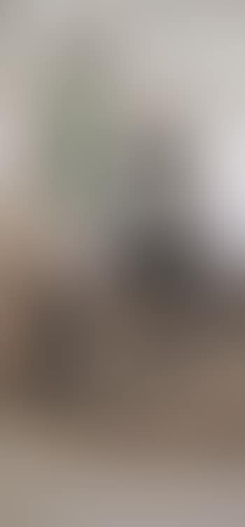 Uygur woman and three donkeys , (preview)
