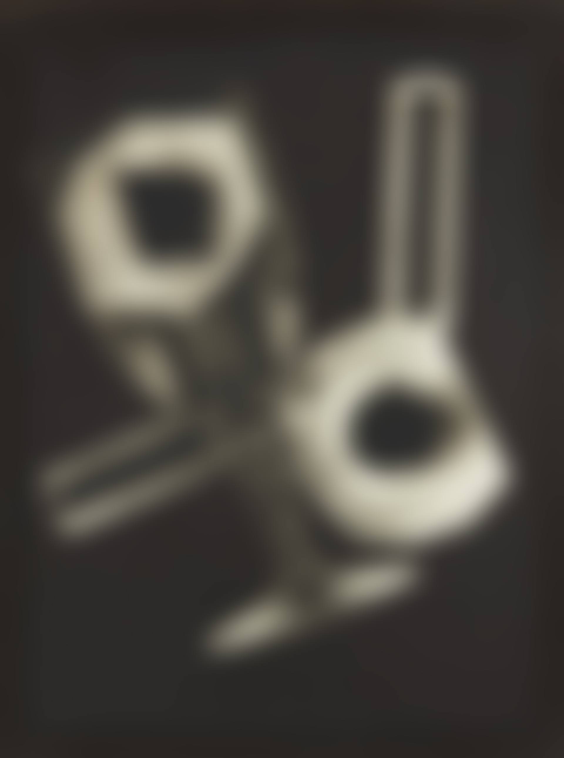 Rayograph (preview)