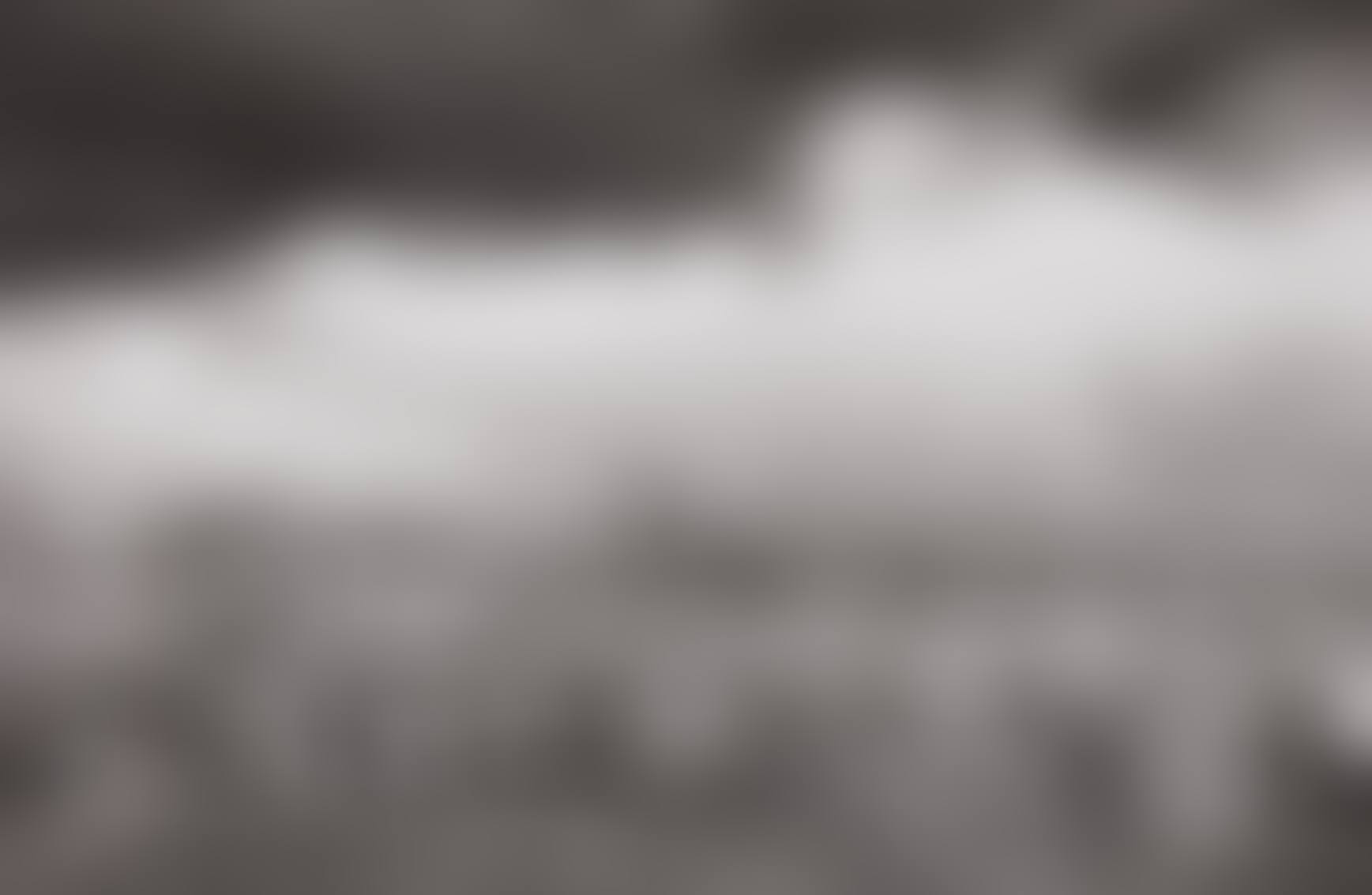 The first day of installation of the camp of Benako for the Rwandan Tutsi and Hutu refugees, Tanzania (preview)
