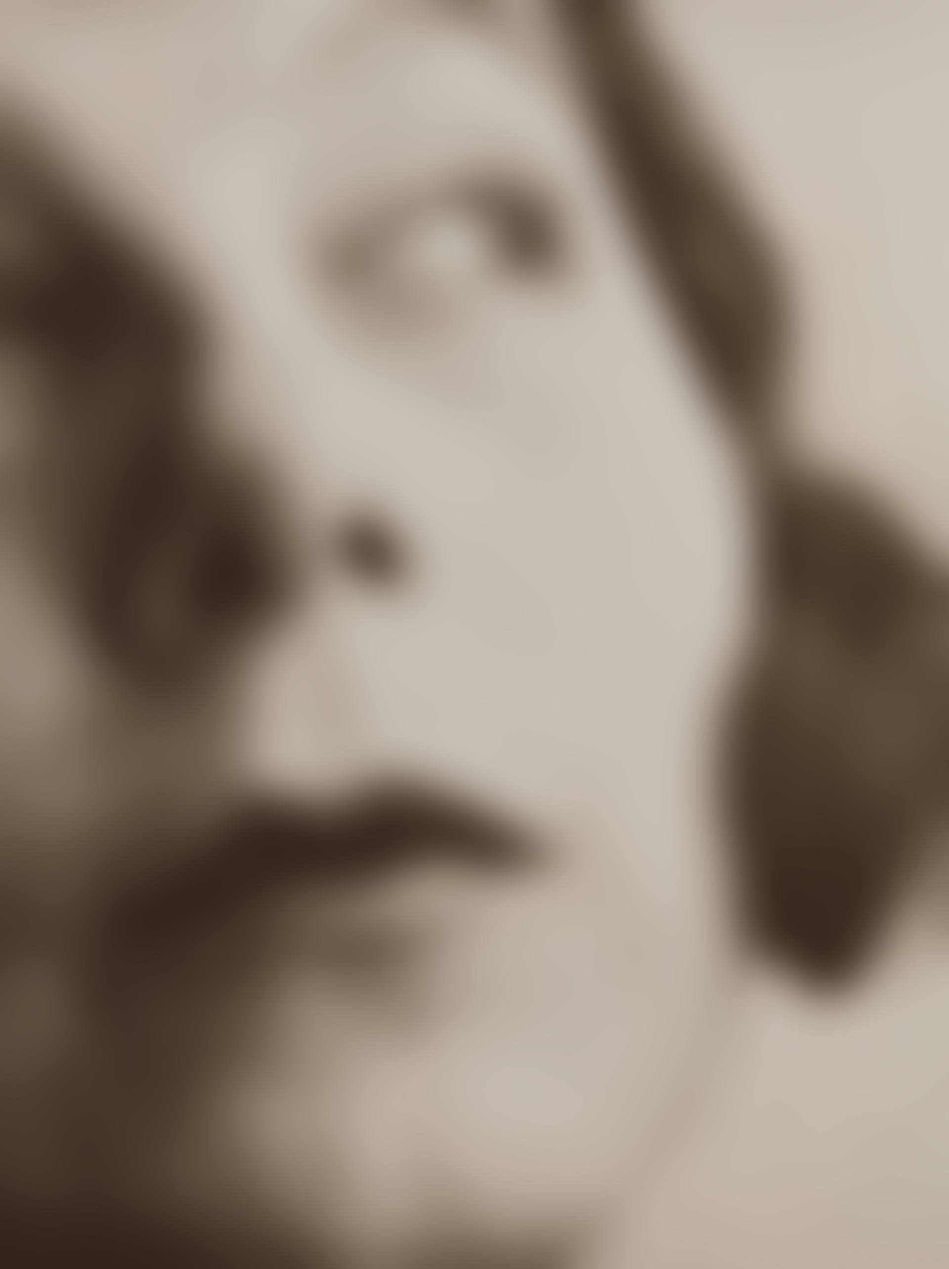 Portrait of Ellen Frank (preview)