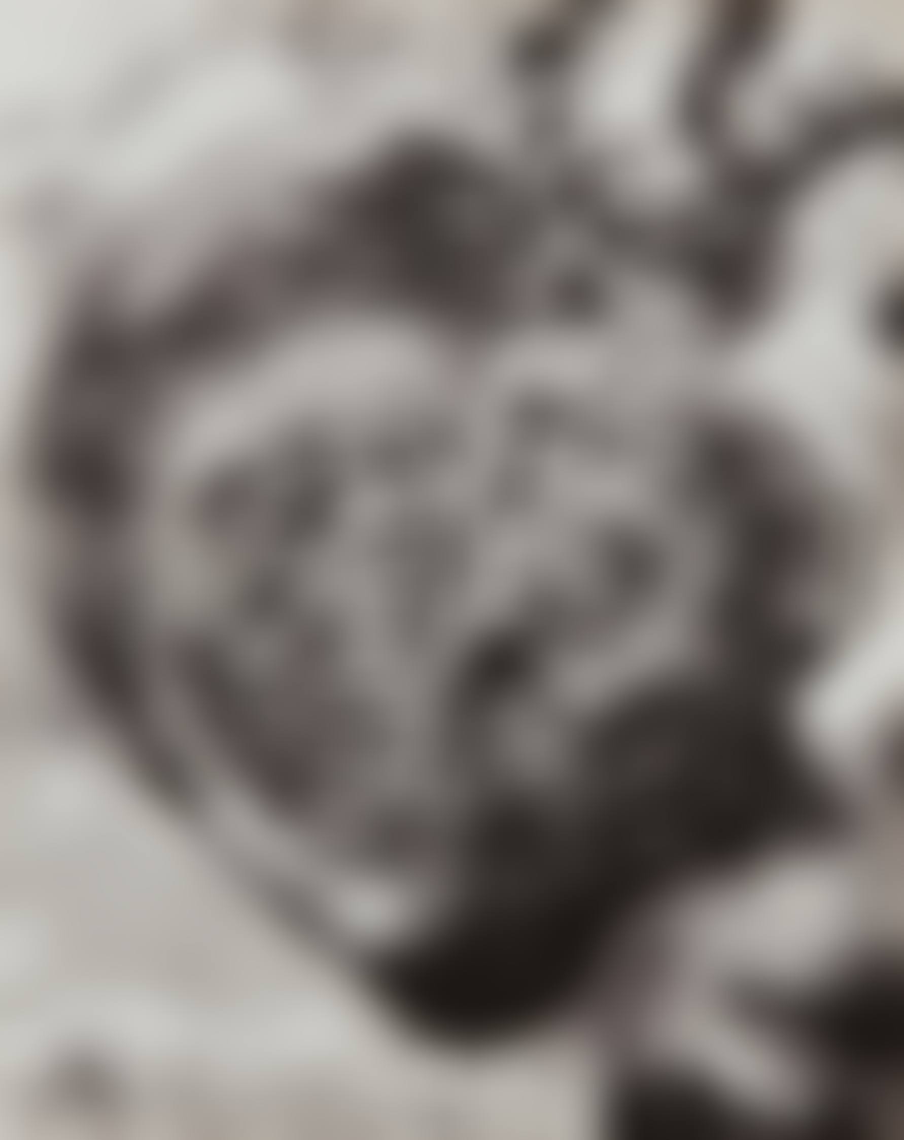 Placenta (preview)