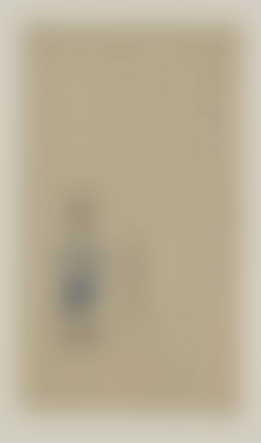 Gauloises bleues (Raw Umber Edge) (preview)