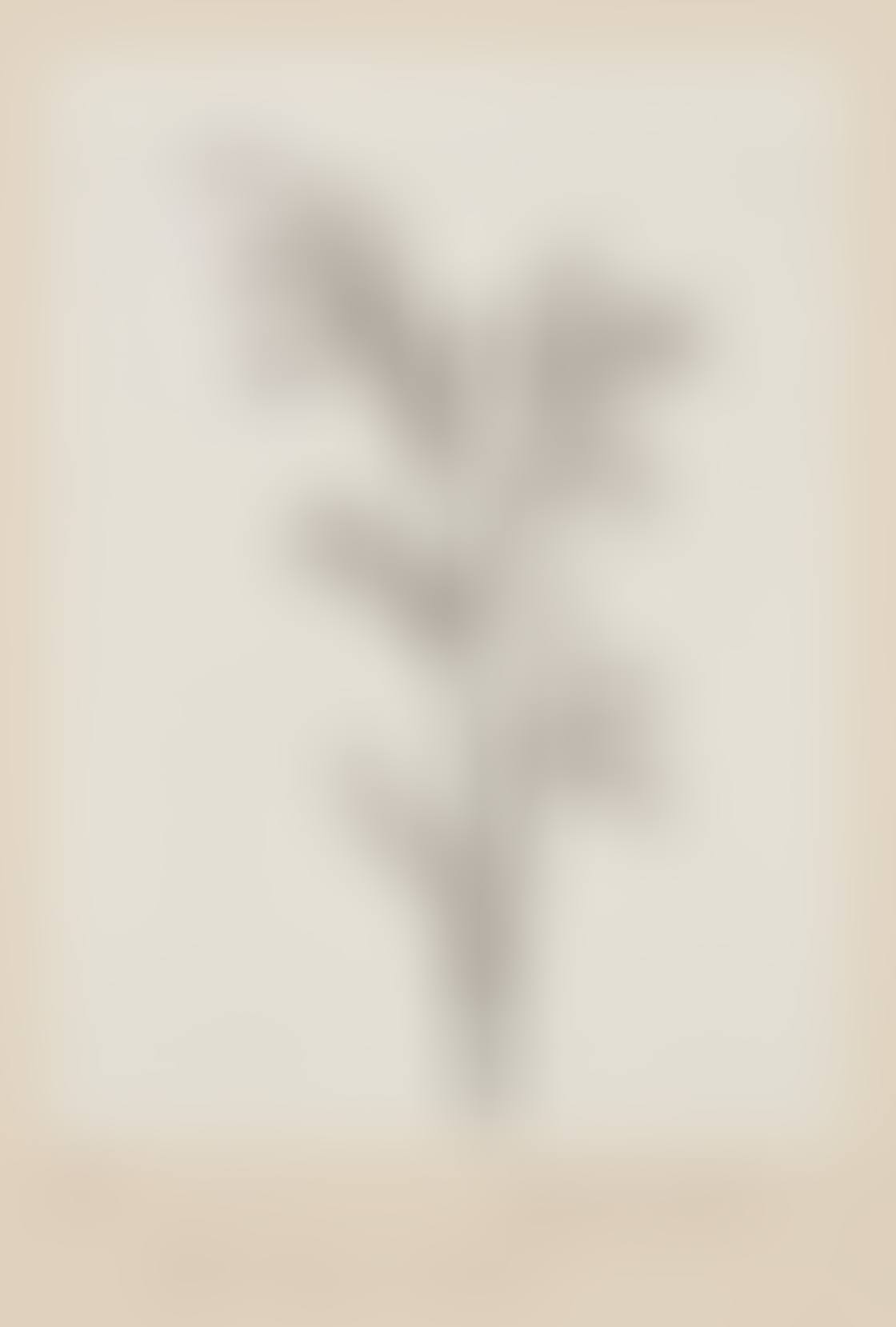 La petite pousse II (The Little Shoot II) (preview)