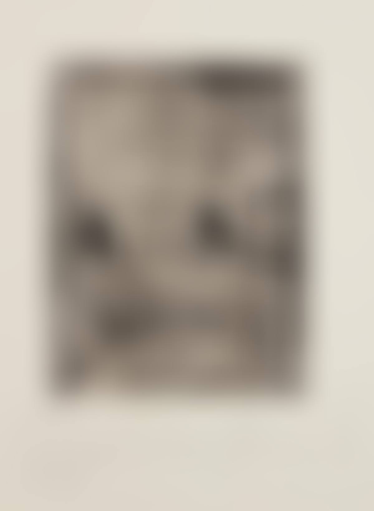 Das Haus sieht einen Menschen Brennen (The House Looks at a Burning Man) (preview)