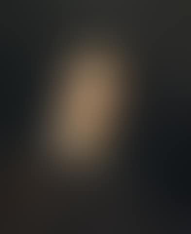 Portrait of Honoré de Balzac, bust-length, in brown (preview)
