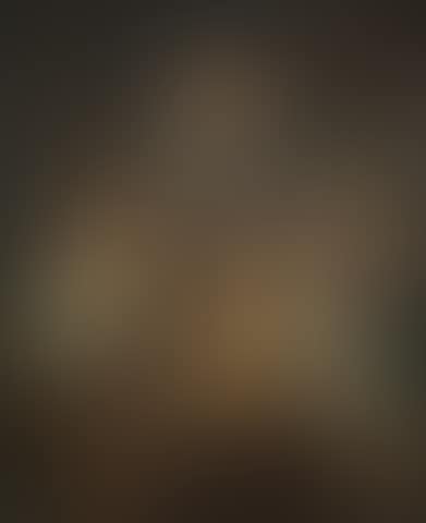 Portrait of a gentleman, half-length, in ceremonial costume (preview)