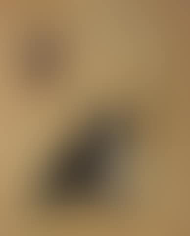 Studies for a peasant woman and a dog' (preview)