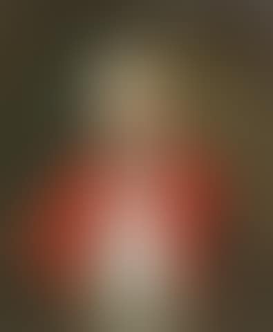 Portrait of a gentleman, traditionally identified as Captain Cook, half-length, in a red coat (preview)