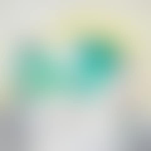 Pas Possible (preview)