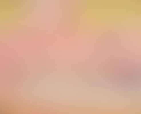 Liegender Akt (preview)