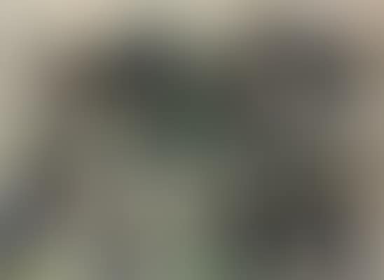 Personnages, oiseaux (preview)