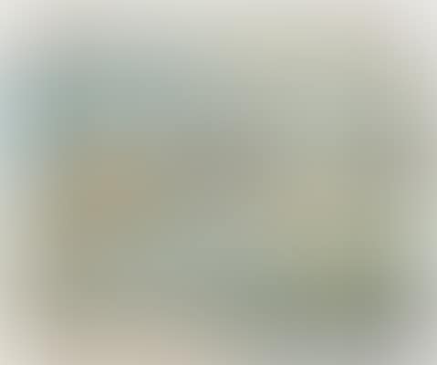 10.8.78 (preview)
