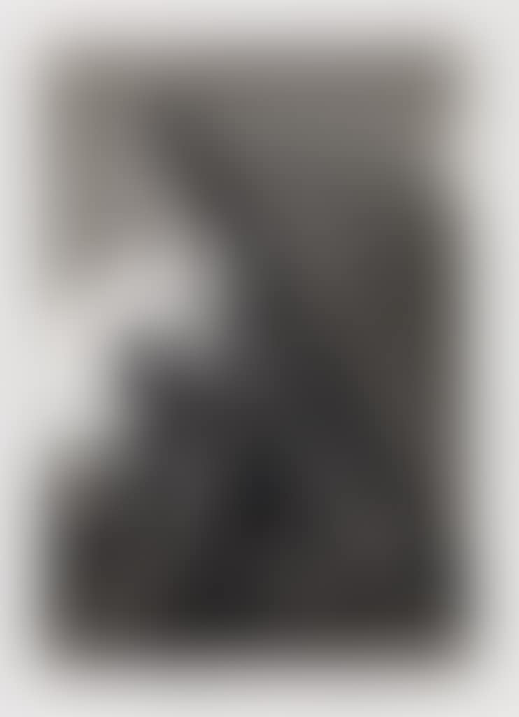 Y Aun No Se Van! (preview)