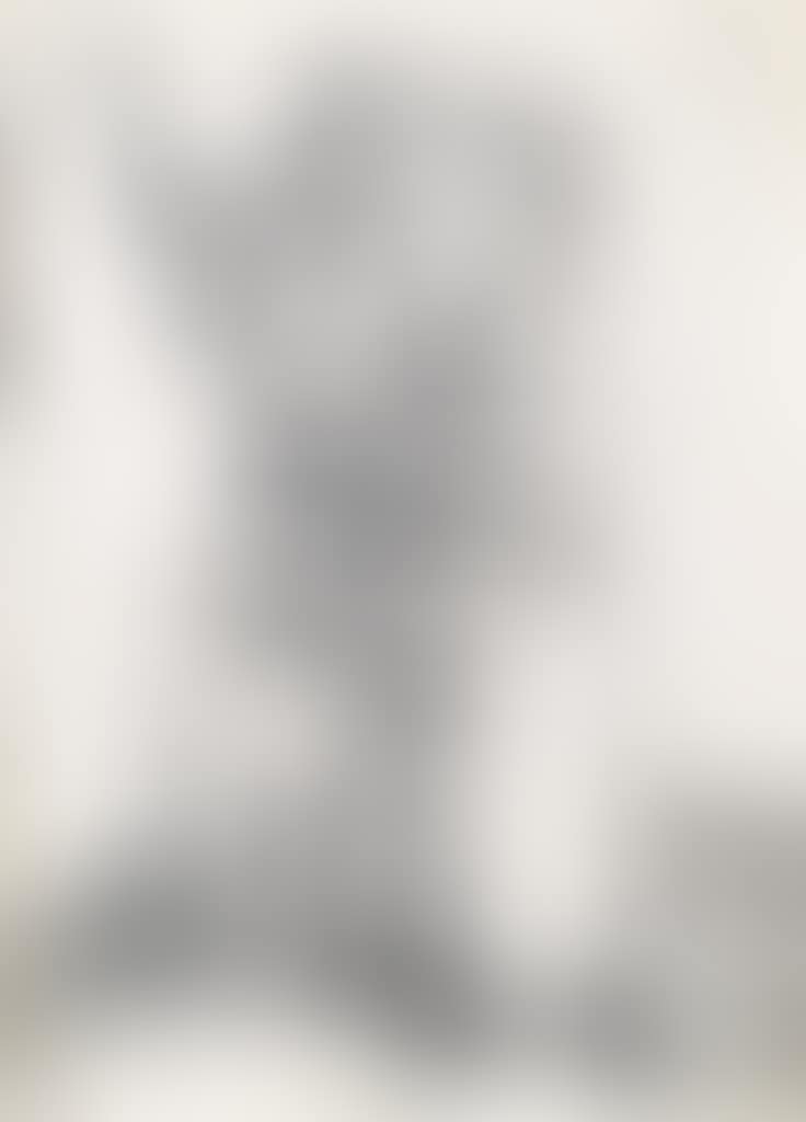 The Peasant And His Wife (preview)