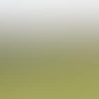LANDSCAPE (preview)