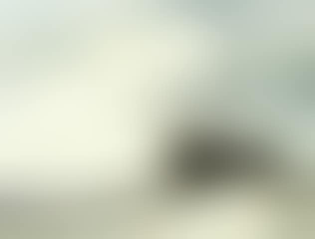The Hill Copse' (preview)