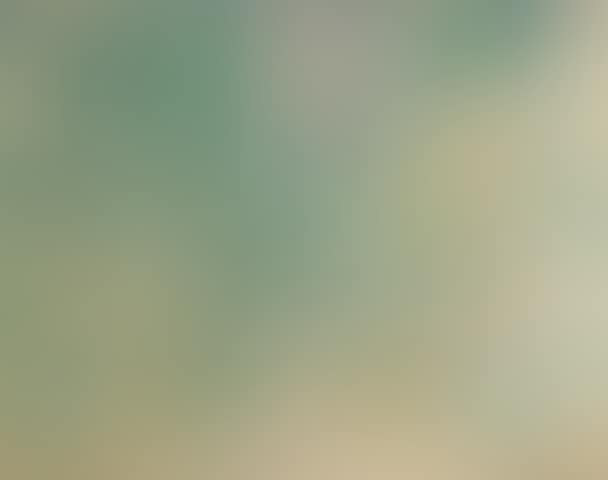 Paysage dans les verts (preview)