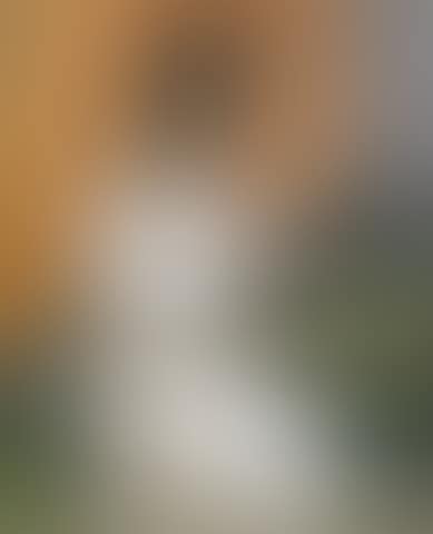 Vendedora de legumbres (preview)