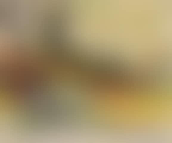 Zug auf Viadukt (preview)