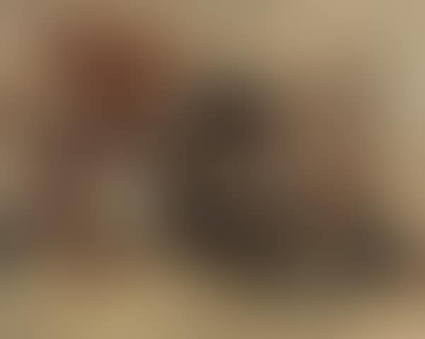 Early in the afternoon N.14 (preview)