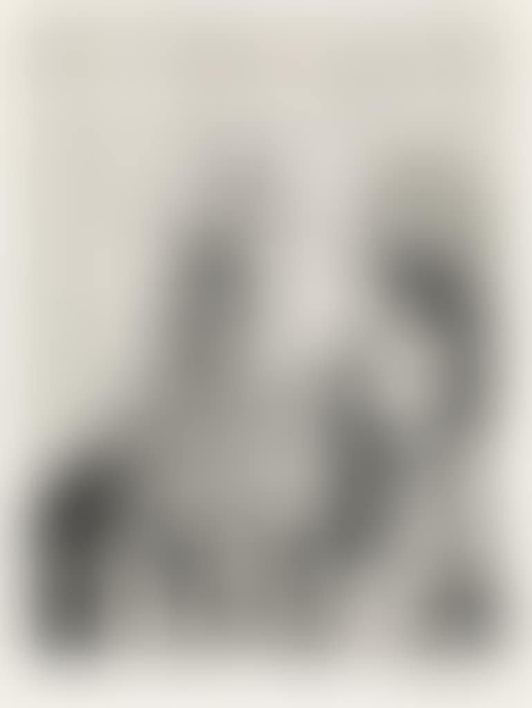 Untitled (VI) (preview)