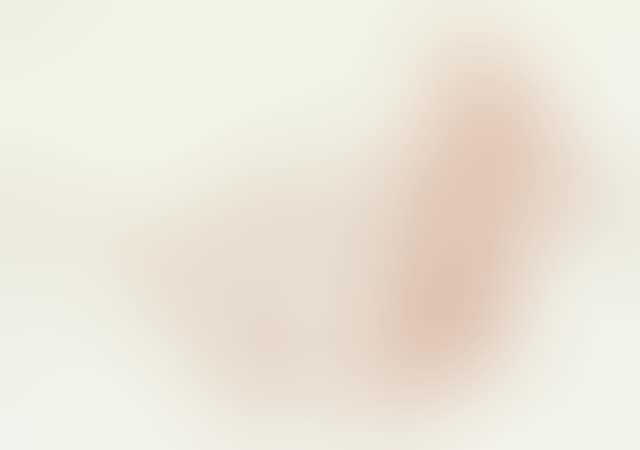 Reclining female figure (preview)