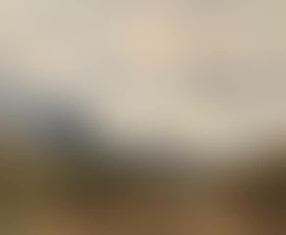Sunset (preview)