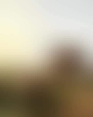Evening glow, at the end of the day (preview)