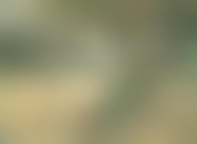 Figures in a park (preview)