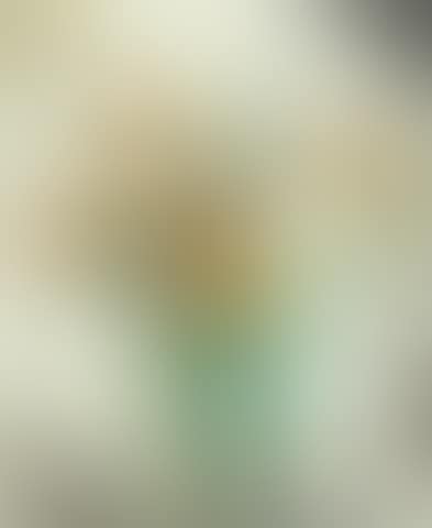 Bouquet de soucis (preview)