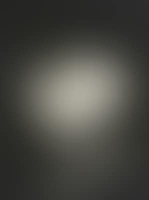 Photogramme, Dessau (preview)