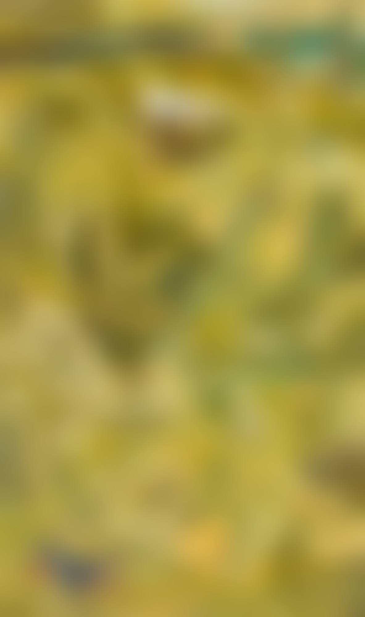 UNTITLED (LANDSCAPE) (preview)