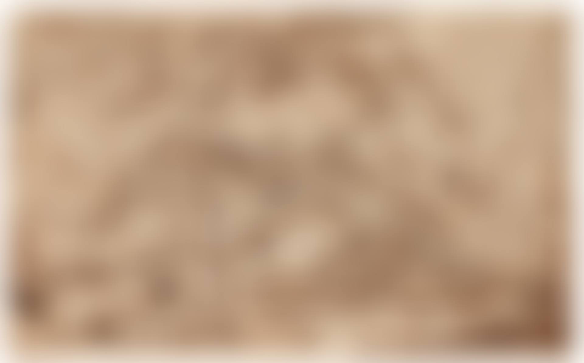 FOREST LANDSCAPE WITH A TRAP (preview)