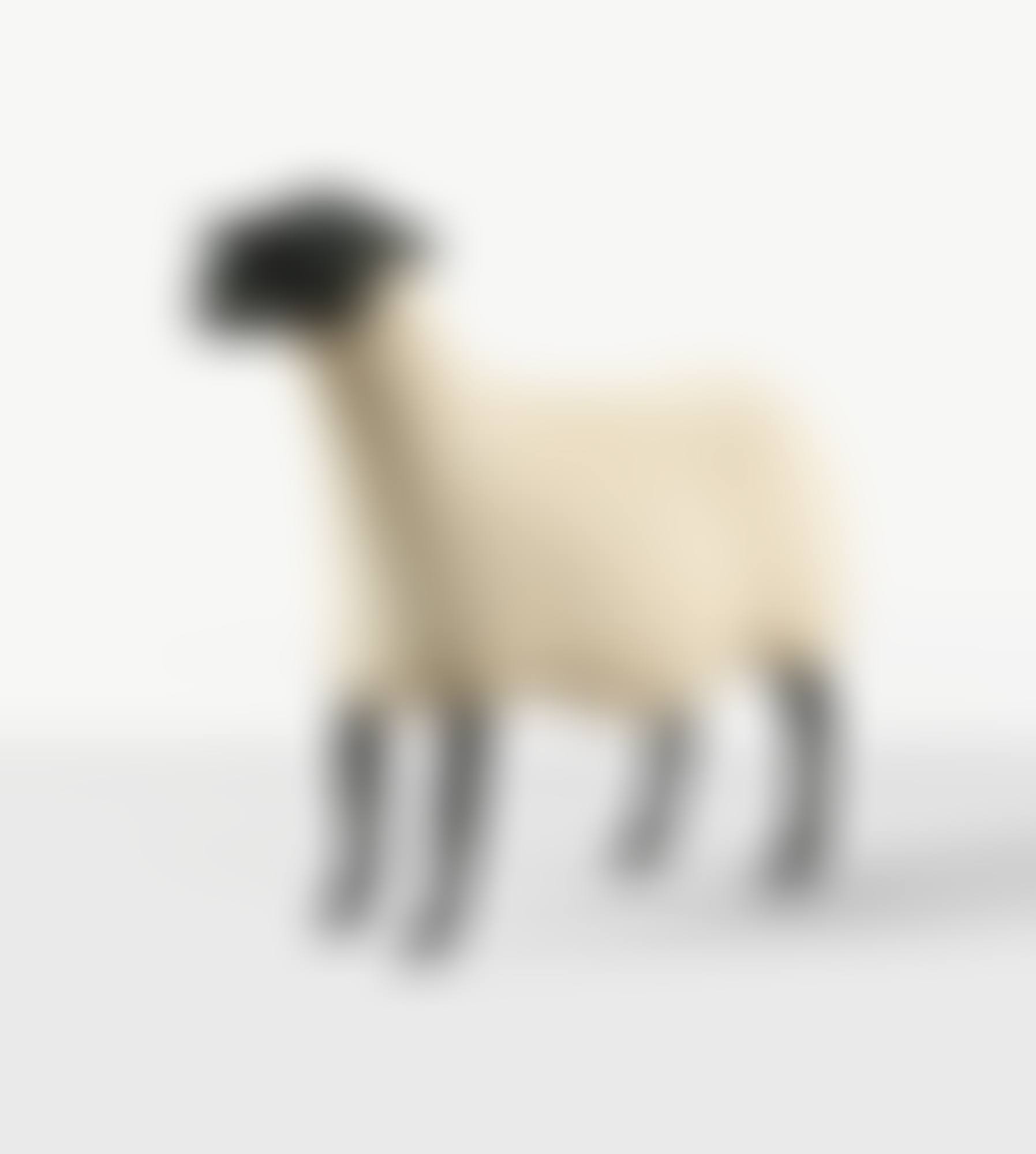 MOUTON TRANSHUMANT (preview)