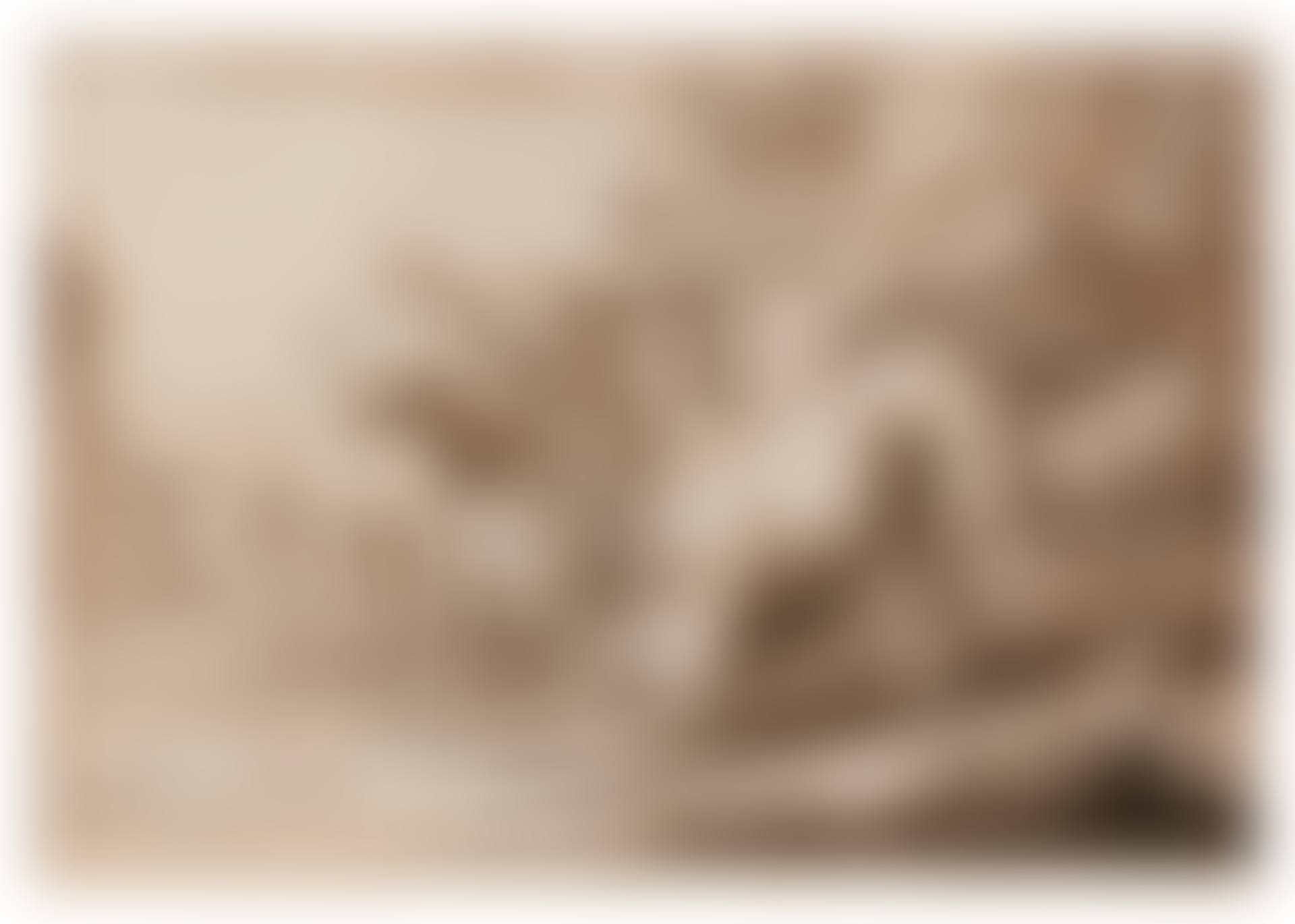 TWO DOGS (preview)