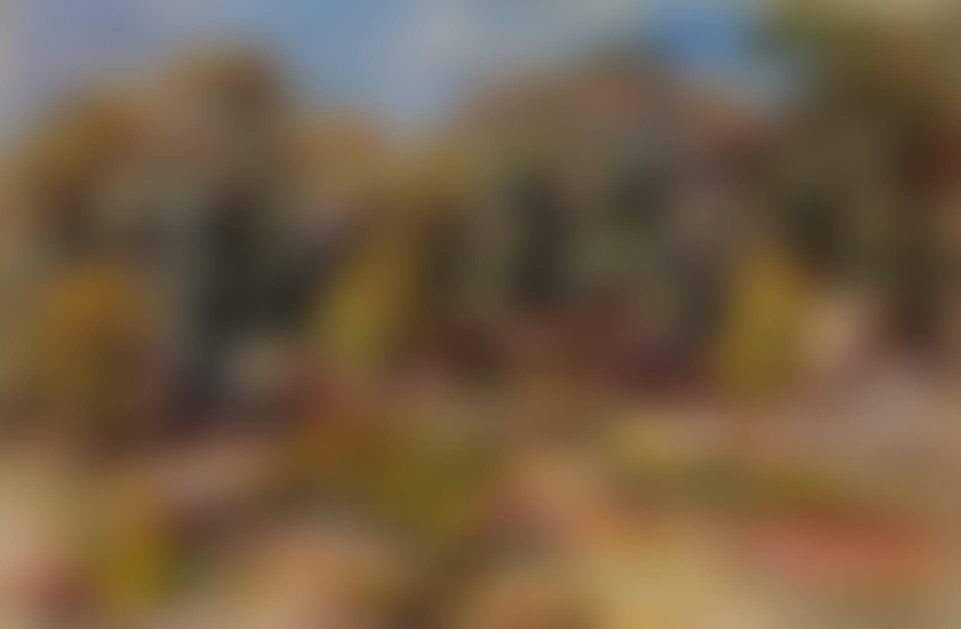 PAYSAGE DU MIDI (preview)