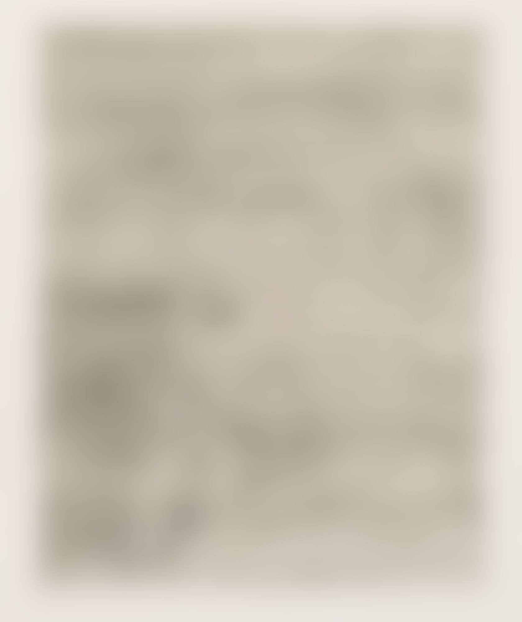 RECHNENDER GREIS (KORNFELD 104) (preview)