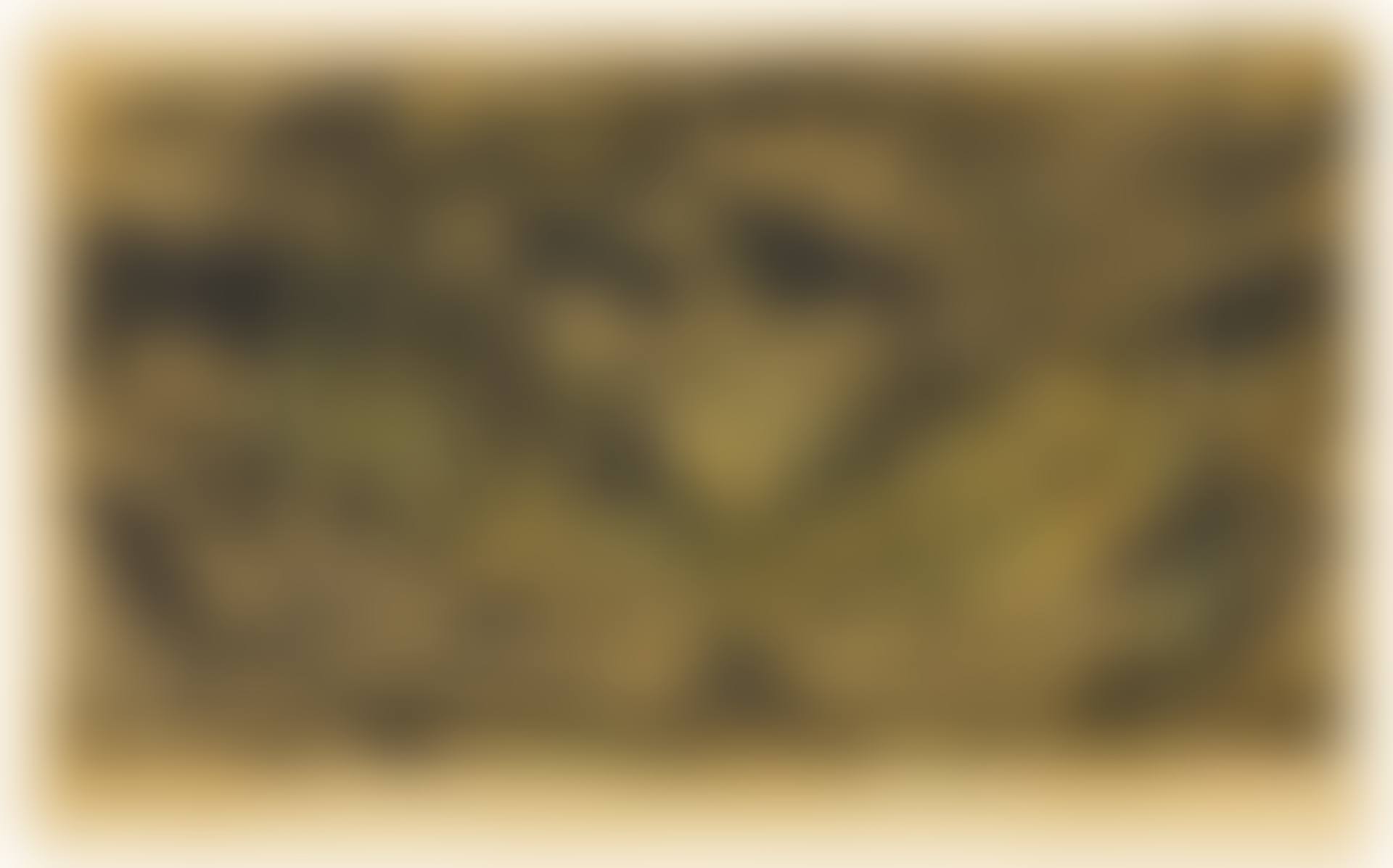 JUNKERBODEN (D. H388/A/2/II AND H388/B/1/II; SCH. H412; G. 1085/II/1) (preview)