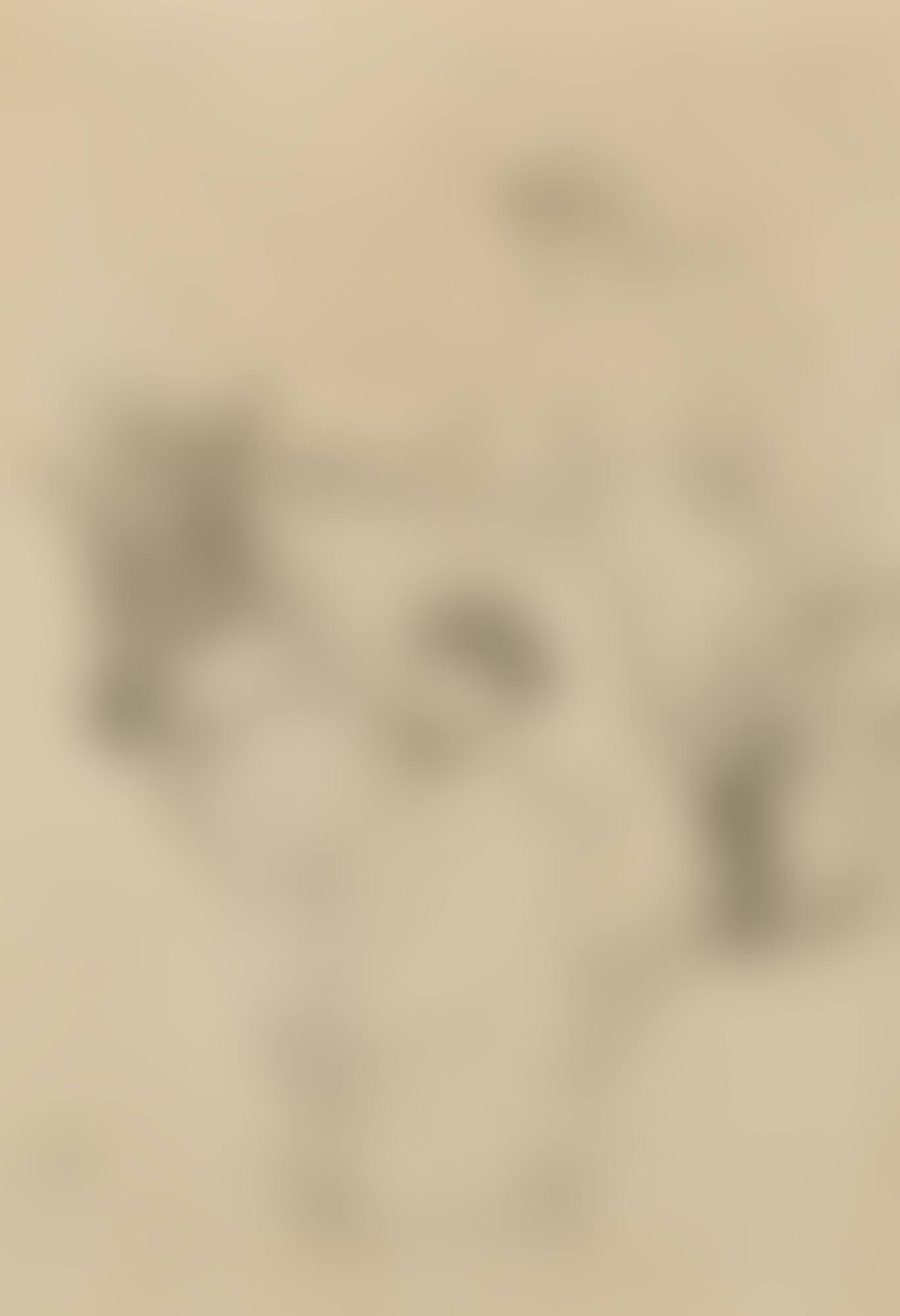 LE JOCKEY SE RENDANT AU POTEAU (D. 282; ADR. 348; W. 311) (preview)