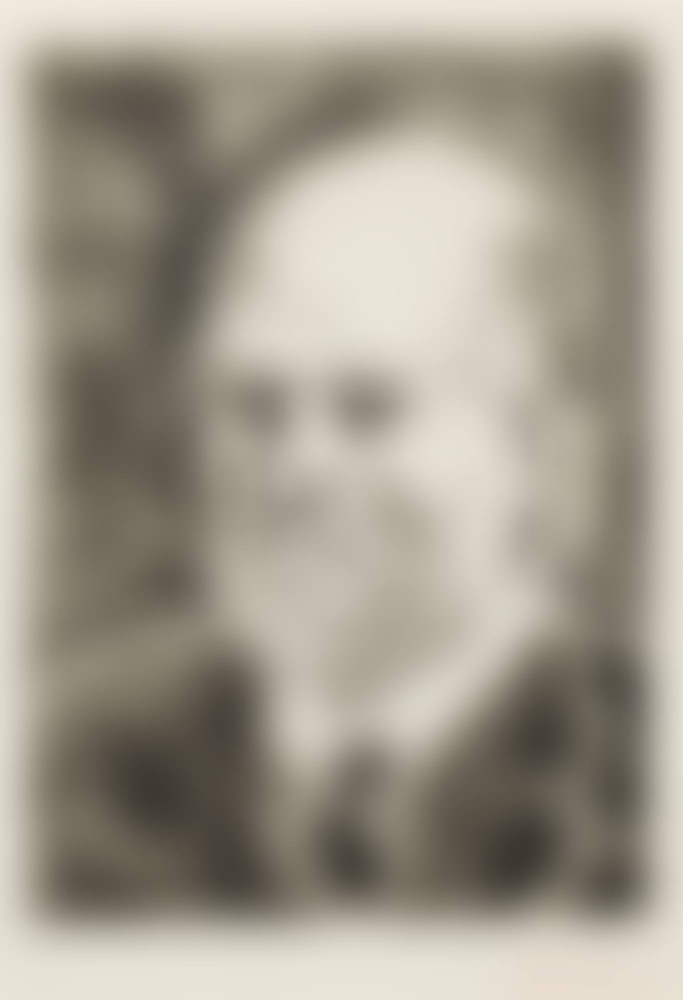 PORTRAIT DE VOLLARD I (B. 232; BA. 617) (preview)