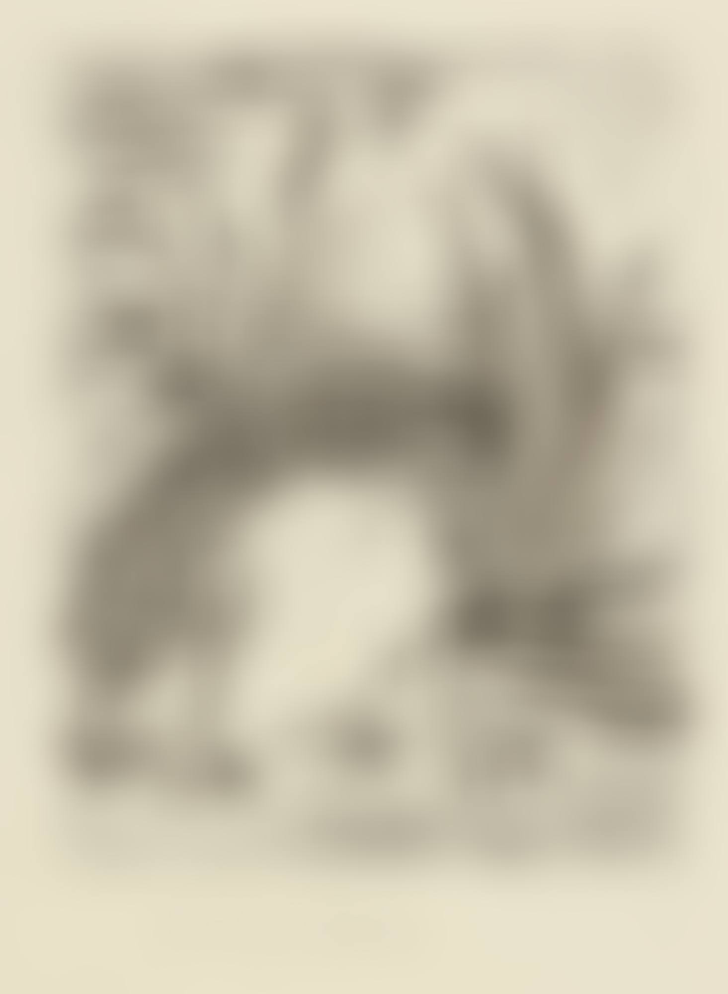 LA CRAPAUD (B. 356; BA. 603) (preview)
