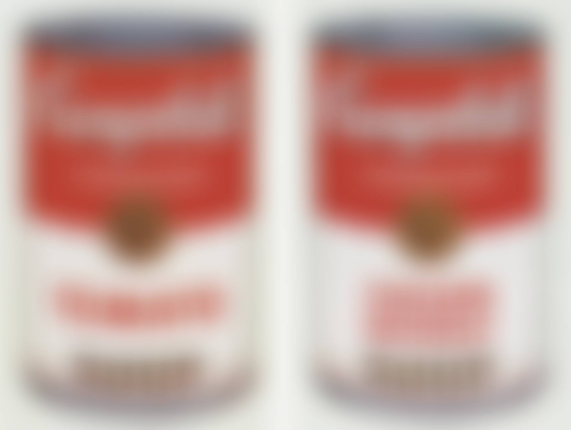 CAMPBELL'S SOUP I (F. & S. II.44-53) (preview)